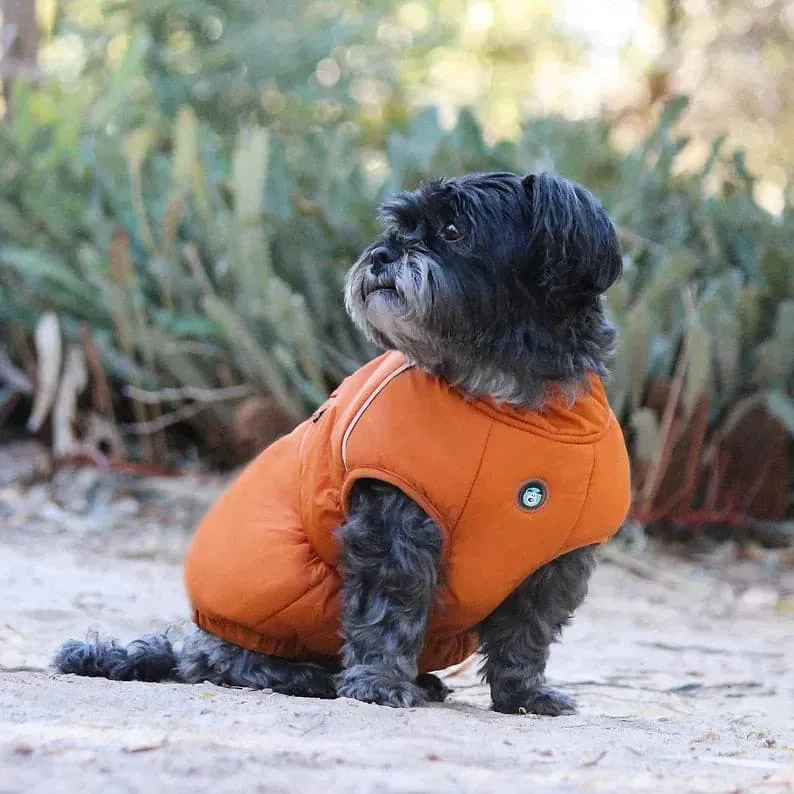 Huskimo Dog Coat Cardrona Turmeric