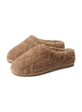 Joy Teddy Camel