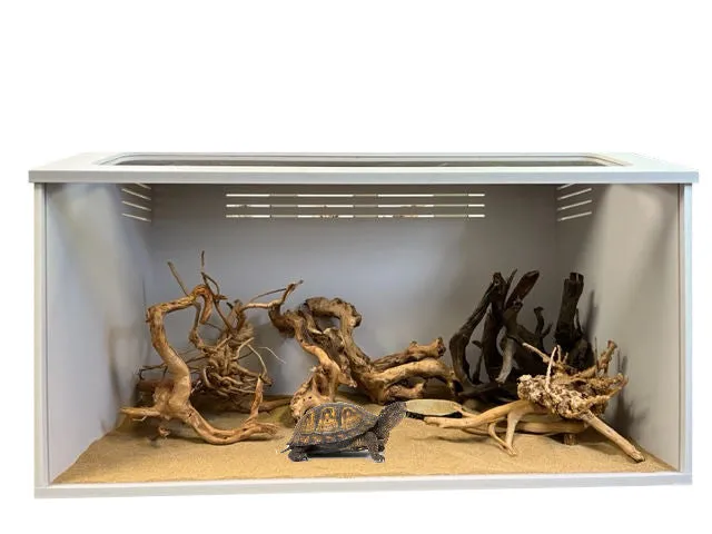 Sahara Cage