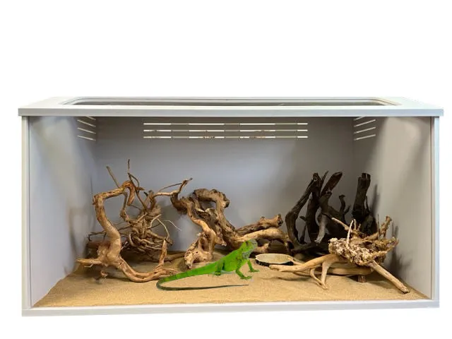 Sahara Cage