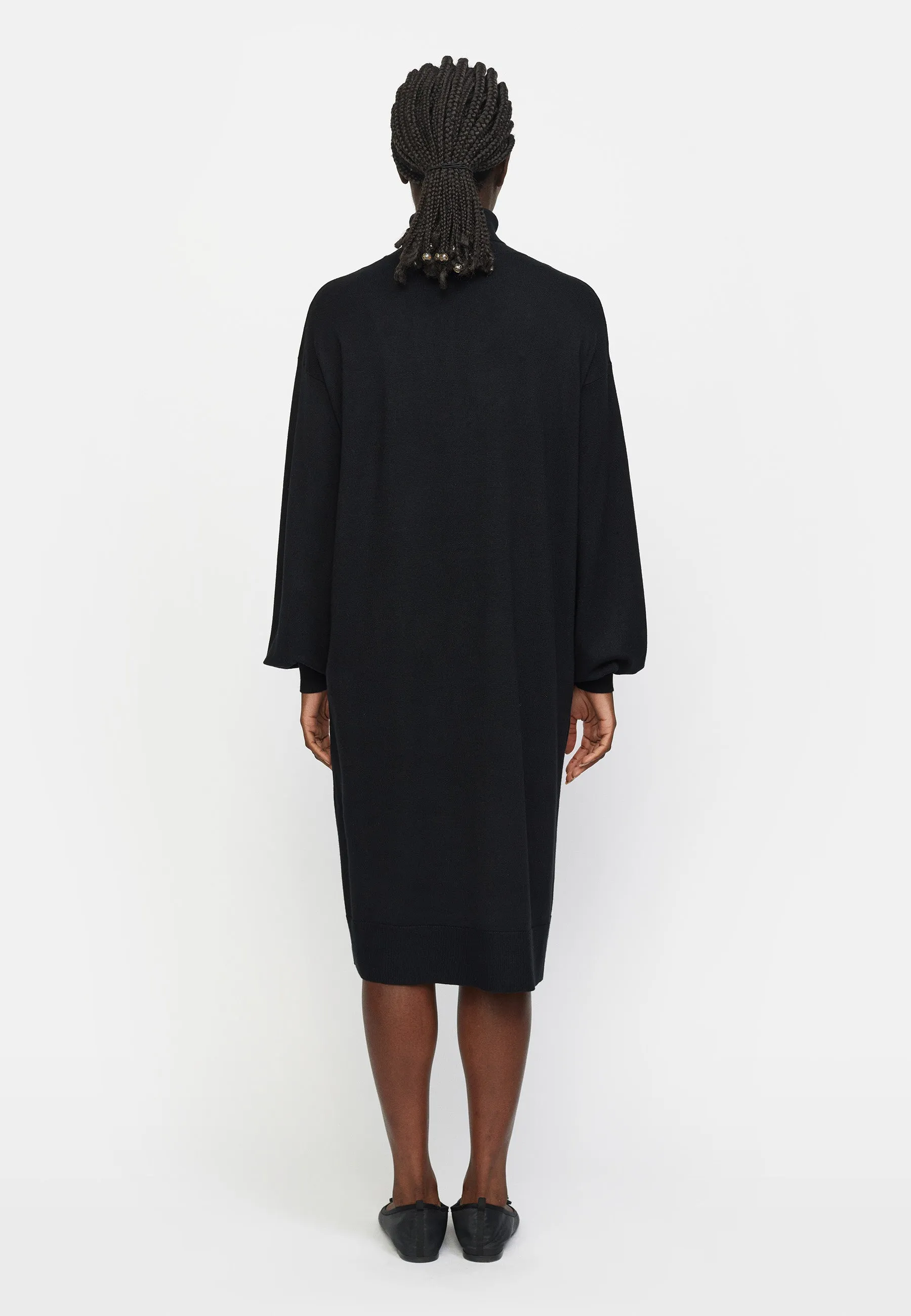 SRLea Rollneck Dress Knit