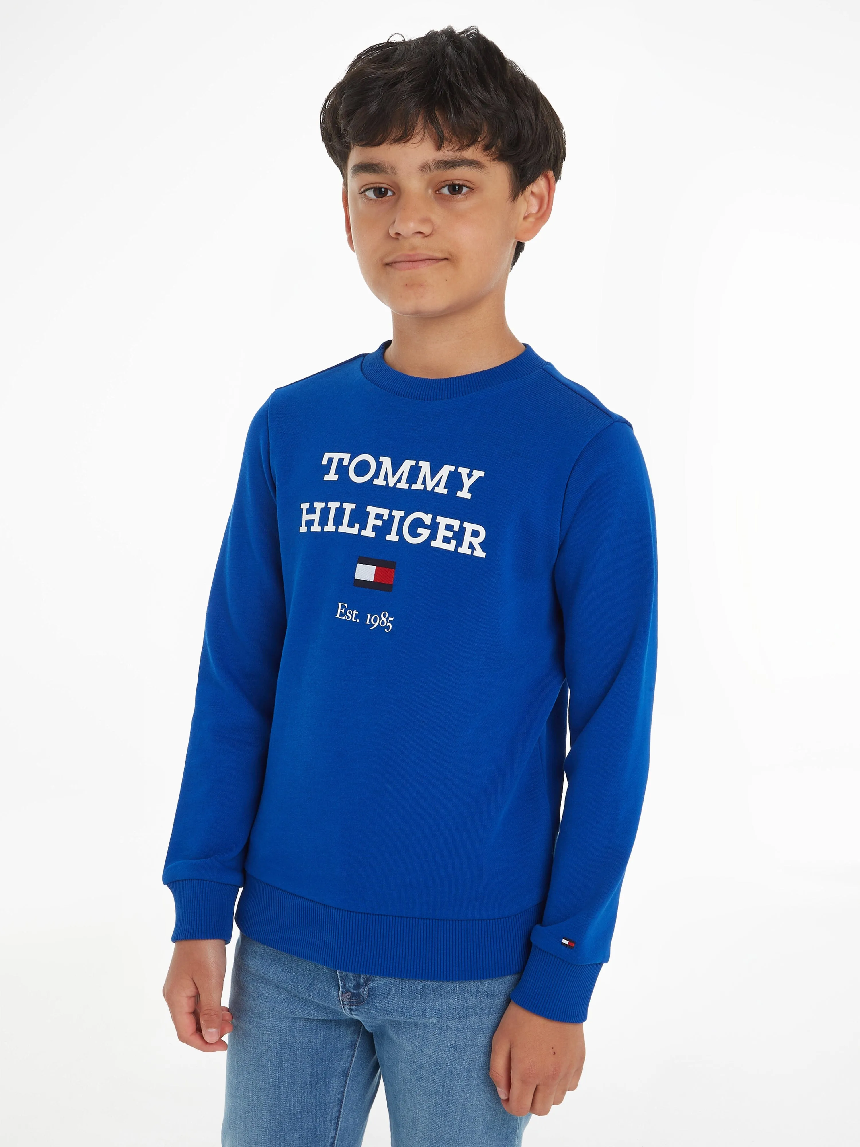 Tommy Hilfiger Boys Logo Sweatshirt in Blue
