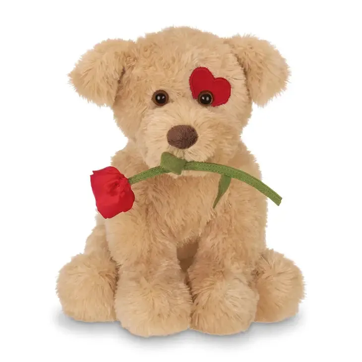 Valentine Teddy Bears