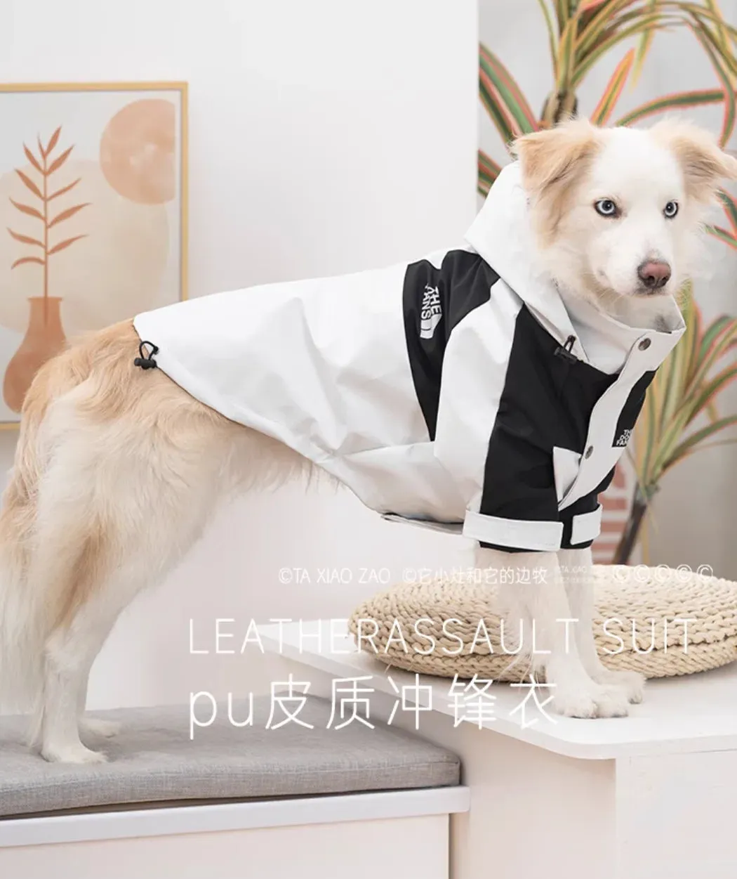 Windproof Pet Jacket and Waterproof Raincoat: Keep Your Dog Cozy and Dry in Any Weather